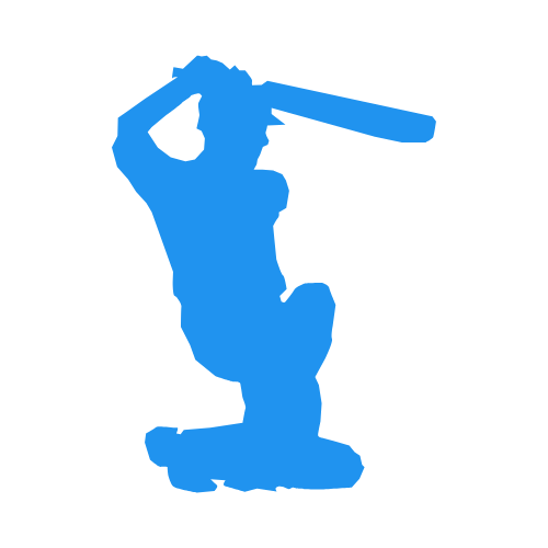 mastering cricket terms