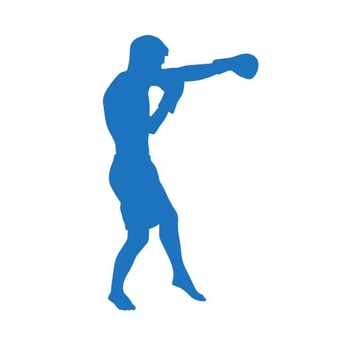 25 boxing terms